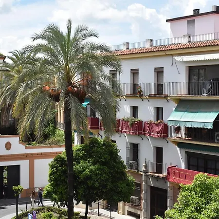 En El Centro Con Parking Y Terraza Apartment *